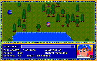 The Forest